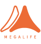 aa1